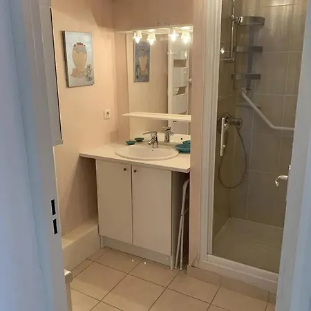 Lumineux 3 Pieces Avec Terrasses, Parking Et Animaux Admis Au Croisic - Fr-1-843-37 르크로아시